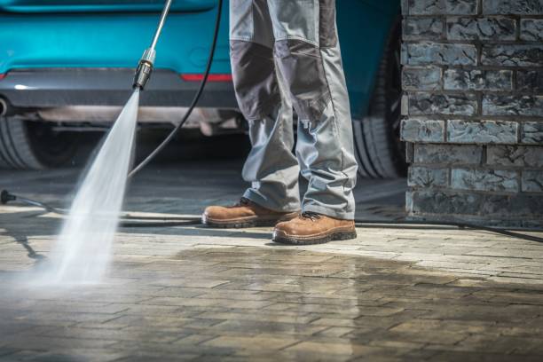 Best Dumpster Area Cleaning  in North Pembroke, MA